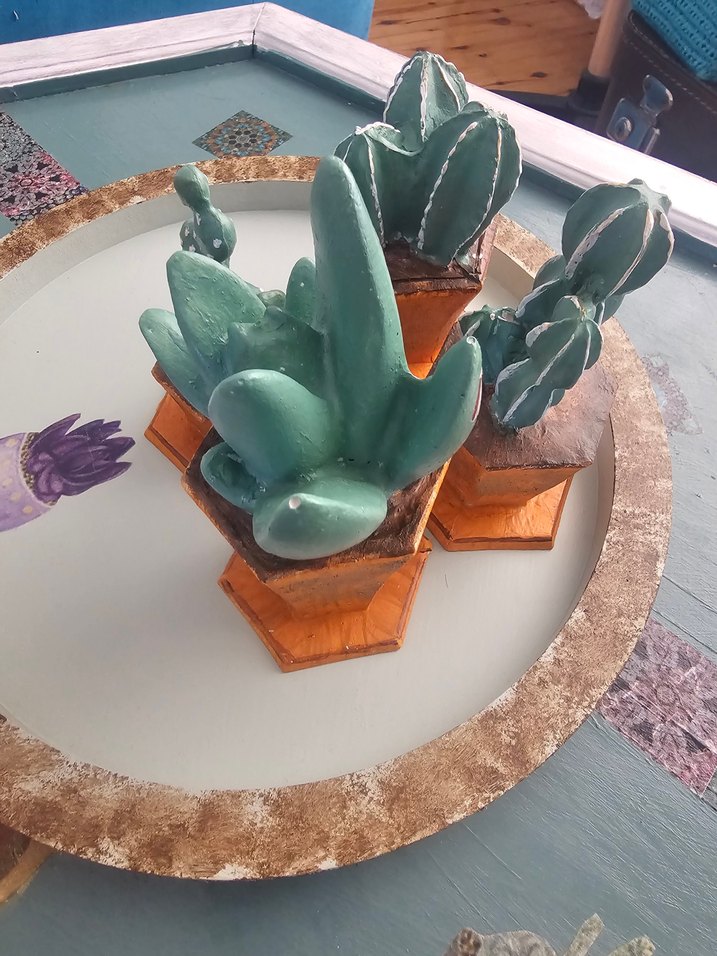 Turkuaz Pastel Saksılı Dekoratif Sukulentler - Görsel 3