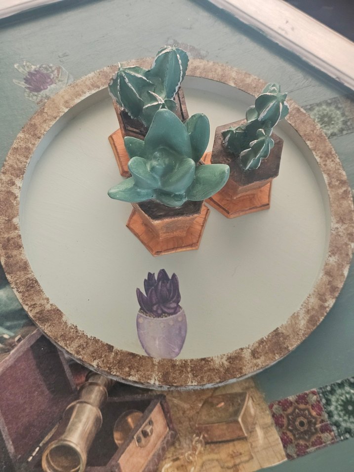 Turkuaz Pastel Saksılı Dekoratif Sukulentler - Görsel 5