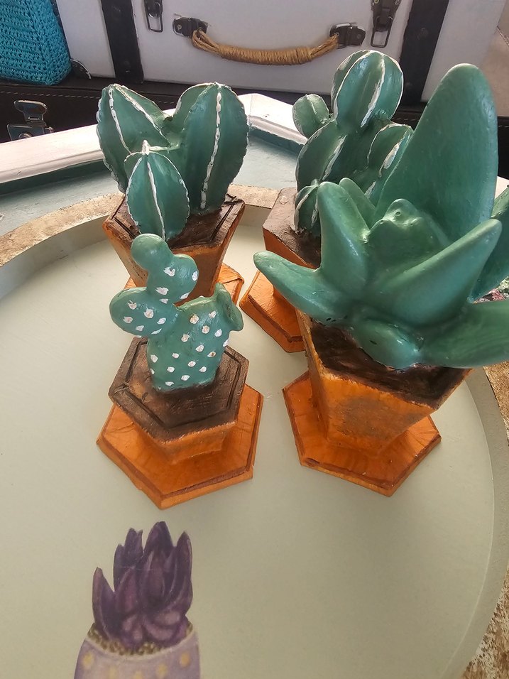 Turkuaz Pastel Saksılı Dekoratif Sukulentler - Görsel 2