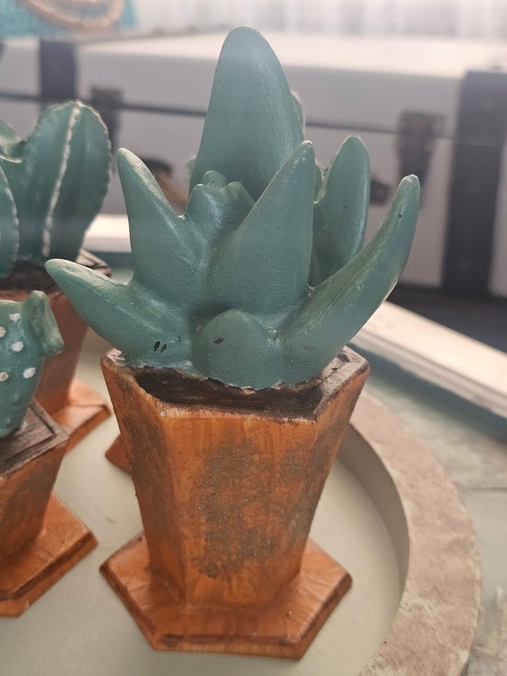 Turkuaz Pastel Saksılı Dekoratif Sukulentler - Görsel 4