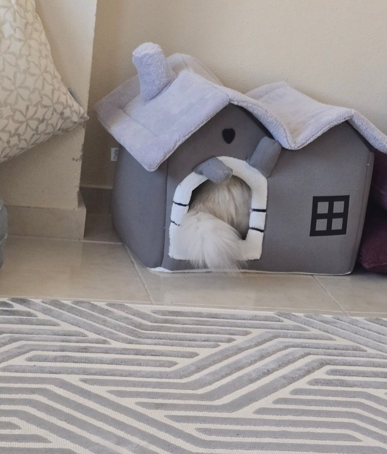 Kedi Evi Gri Yumuşak - Görsel 5