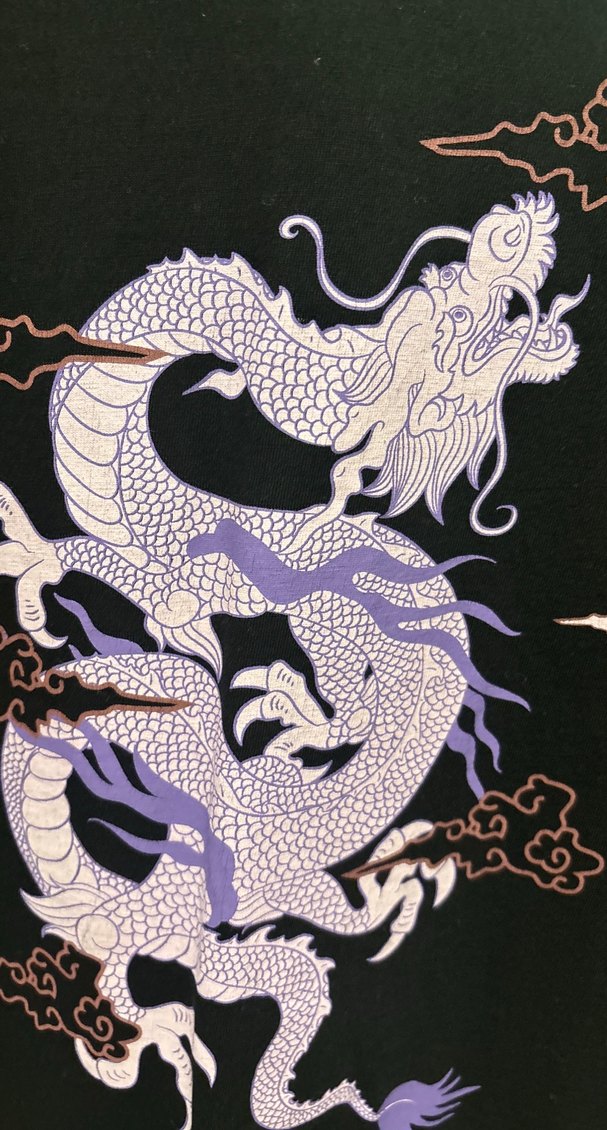 Siyah ejderha baskılı tişört - Görsel 5