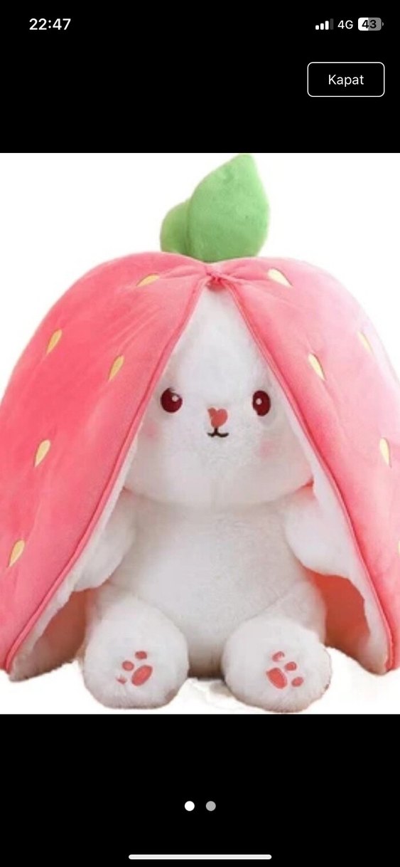 Pembe Meyve çilekli Figürlü Peluş Oyuncak - Görsel 2