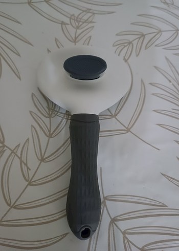 Gri Kedi Tarağı - Görsel 2