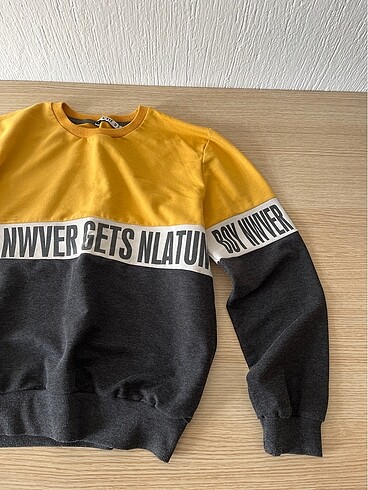 Diğer Sweatshirt