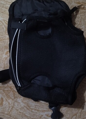 Kedi ana kucağı - Görsel 7