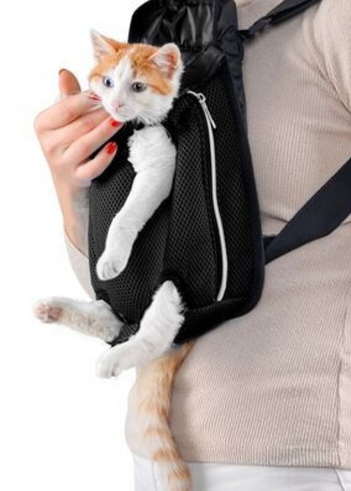 Kedi ana kucağı - Görsel 4