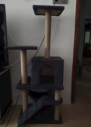 Gri Çok Katmanlı Kedi Tırmalama ve Oyun Evi - Görsel 2