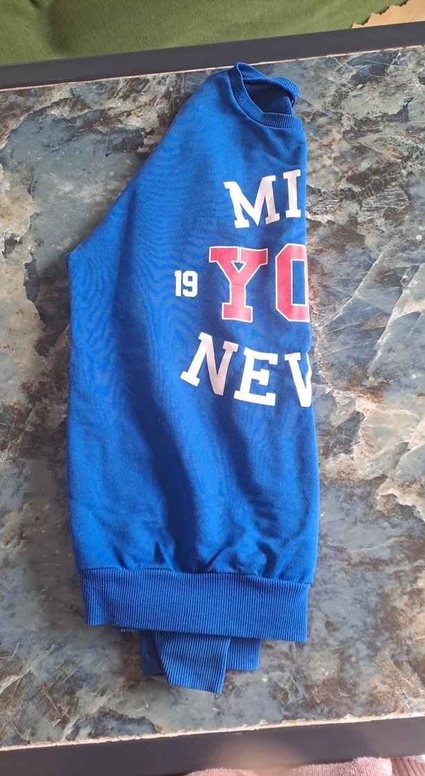 Mavi Baskılı Sweatshirt - Görsel 2