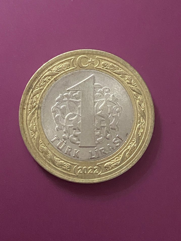 Çanakkale Köprüsü Hatıra Parası - Görsel 2