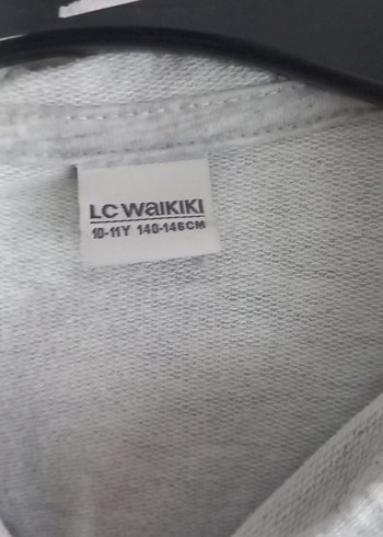 Gri Kapüşonlu Fermuarlı Erkek Çocuk Yelek - Görsel 3