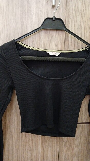 Penti Mini Crop