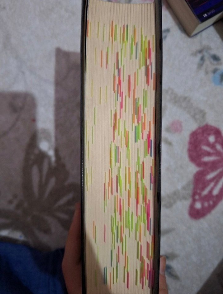 Sokak Nöbetçileri - Aslı Arslan - Görsel 2