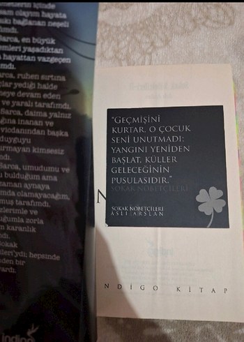 Sokak Nöbetçileri II - Aslı Arslan - Görsel 4