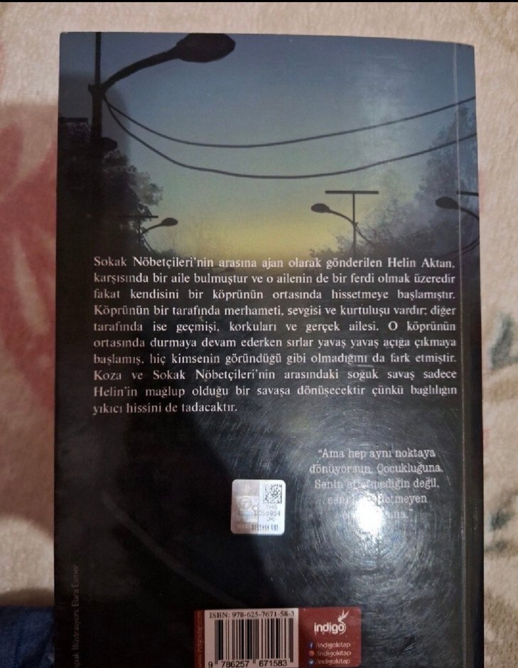 Sokak Nöbetçileri II - Aslı Arslan - Görsel 2