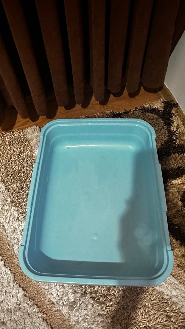 Kapaklı Beyaz ve Mavi Kedi Tuvalet Kabı - Görsel 5