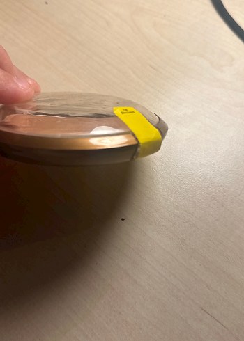 Wet n Wild Parlak Bej Bronzlaştırıcı Pudra - Görsel 3