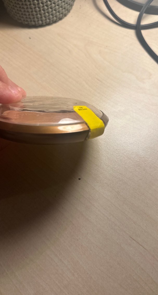 Wet n Wild Parlak Bej Bronzlaştırıcı Pudra - Görsel 3