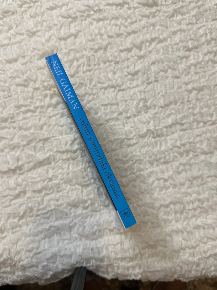 YOLUN SONUNDAKİ OKYANUS - Görsel 3