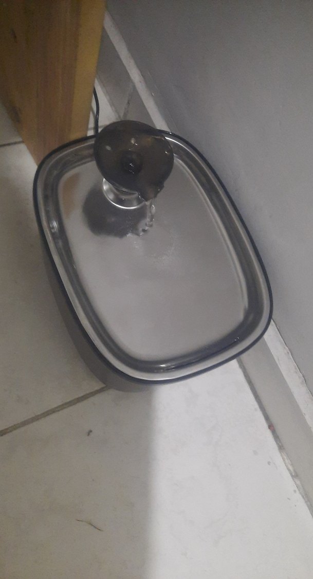 kedi ve köpek su kabı - Görsel 2