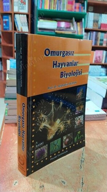 Omurgasız hayvanlar biyolojisi