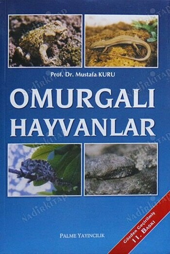 Omurgalı hayvanlar
