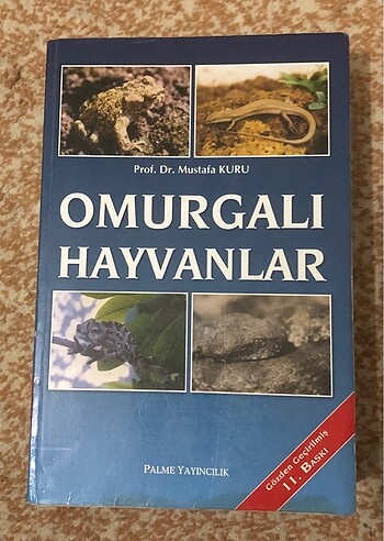 Omurgalı hayvanlar