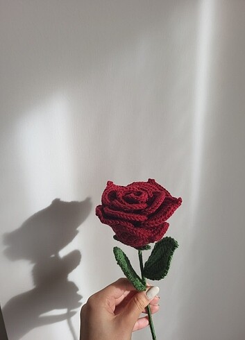 Rose/gül