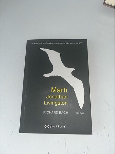 jonathan livingston - Martı