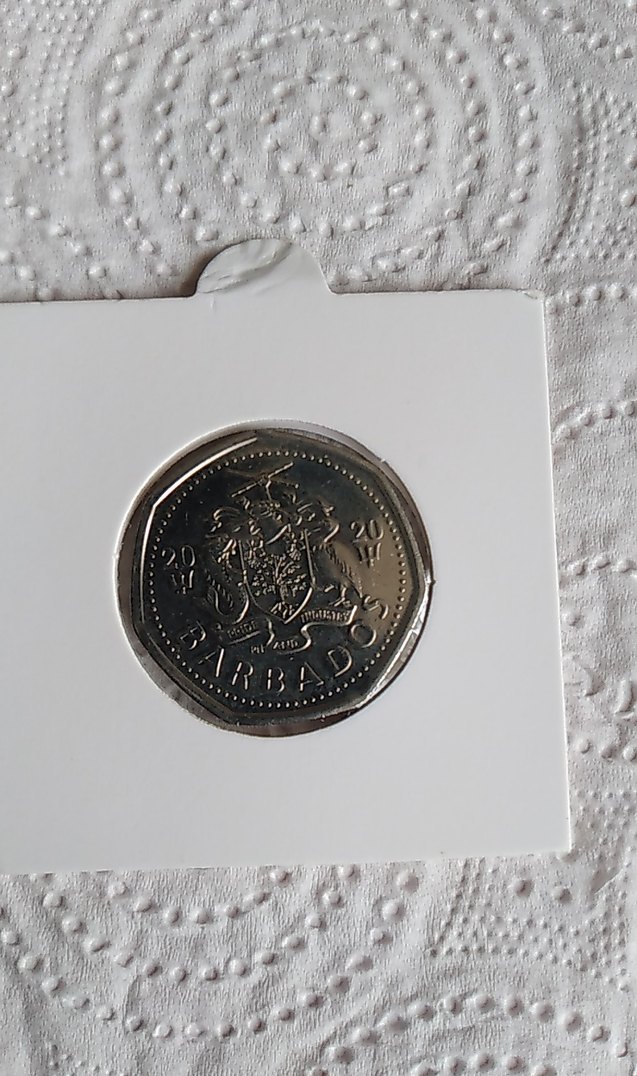 Mavi Balina Temalı Erkek Rozeti - Görsel 2