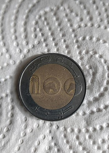 koleksiyonluk - Görsel 2