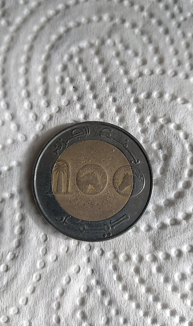 koleksiyonluk - Görsel 2