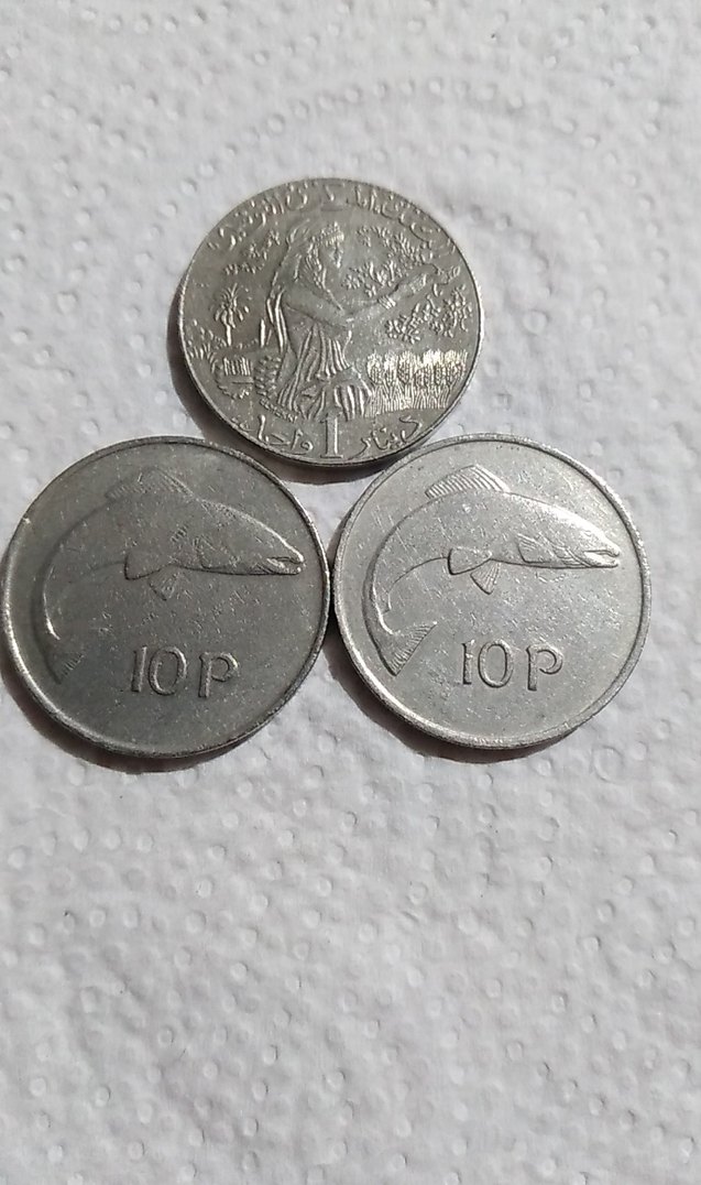 3 adet temiz - Görsel 2