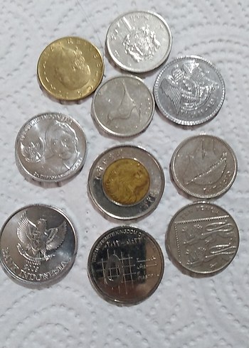 karışık 10 adet çil koleksiyonluk - Görsel 5