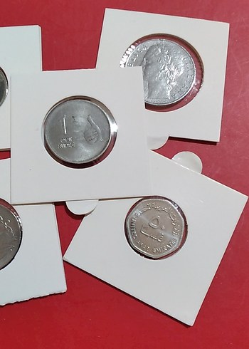 5 adet çil - Görsel 3