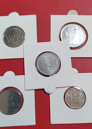 5 adet çil - Görsel 4