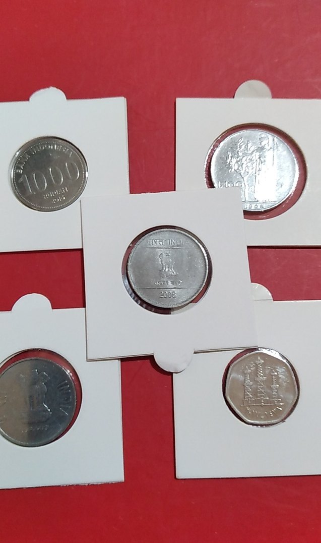 5 adet çil - Görsel 4