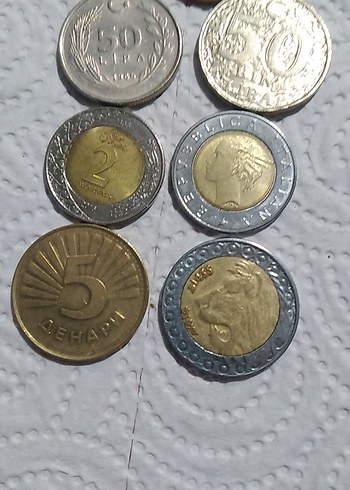 Altın ve Gri Renkli Para Koleksiyonu - Görsel 2