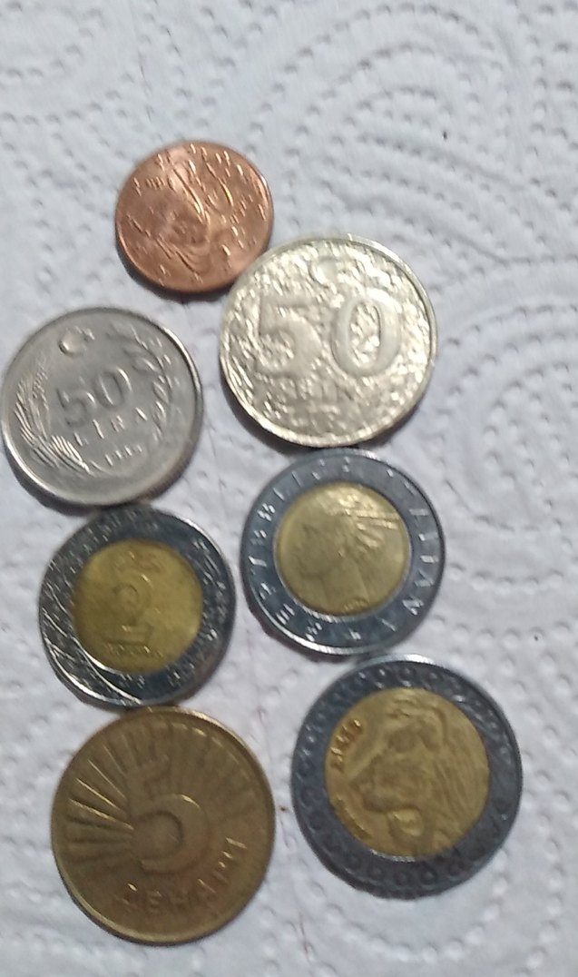 Altın ve Gri Renkli Para Koleksiyonu - Görsel 3