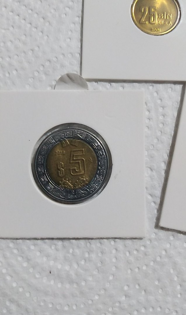 3 adet çil - Görsel 2