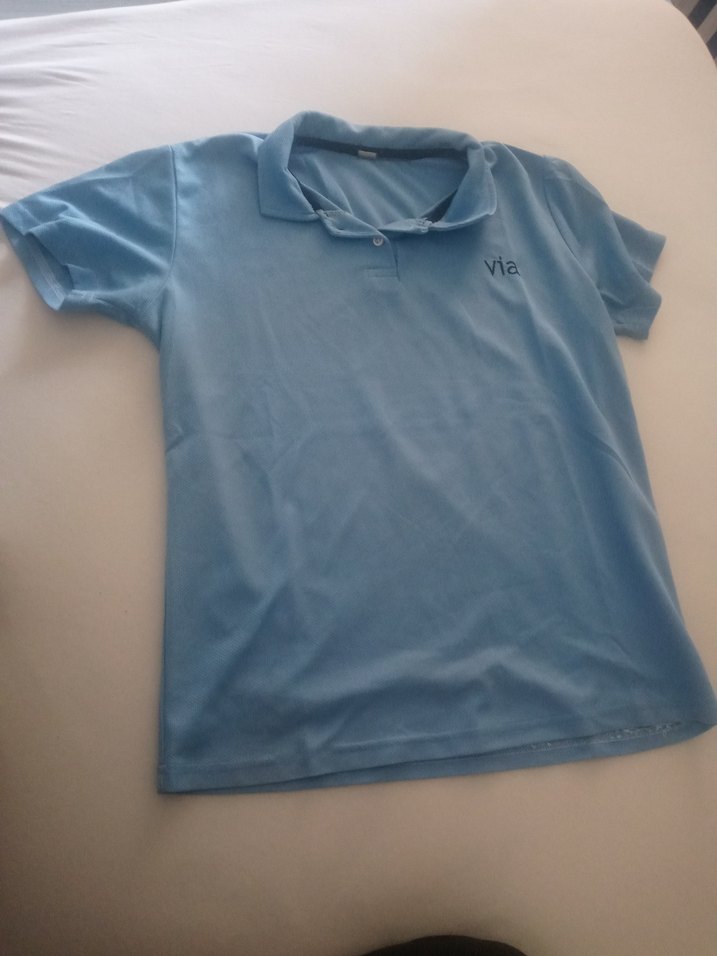 Mavi Düğmeli Polo Yaka Erkek Tişört - Görsel 2