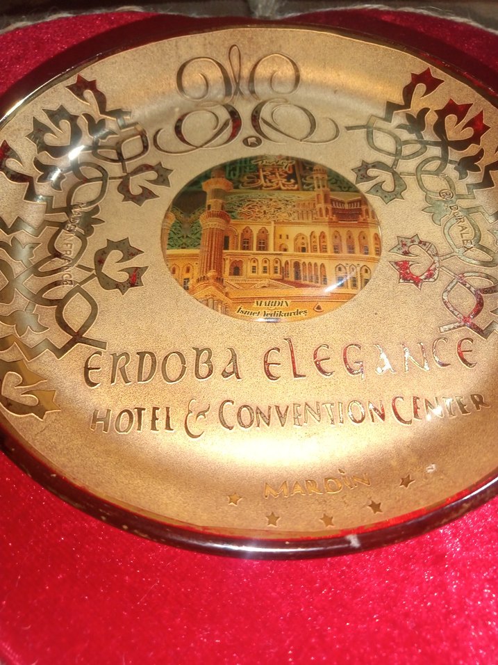 Altın Renkli Parlak Desenli Tabak - Görsel 2