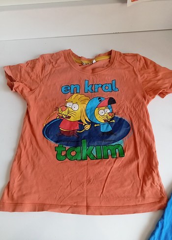 5 Yaş Beden Çocuk Baskılı Renkli Tişörtler