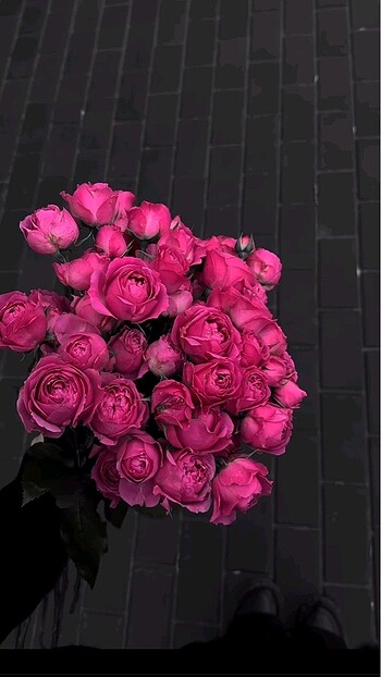 Pembe gül