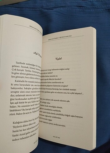Elif gibi sevmek dem