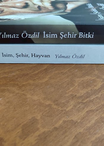 UYGUN FİYATA GÜZEL BİR YILBAŞI HEDİYESİ - Görsel 2