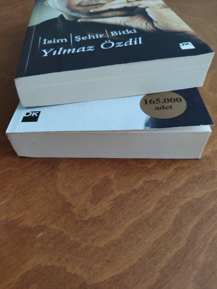 UYGUN FİYATA GÜZEL BİR YILBAŞI HEDİYESİ - Görsel 3