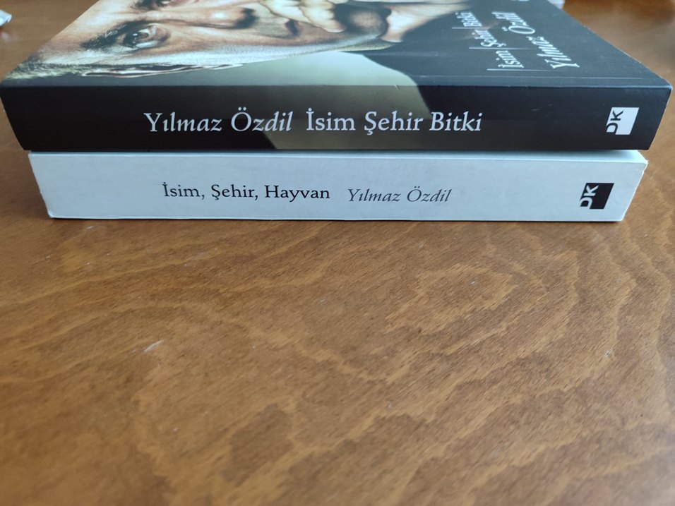 UYGUN FİYATA GÜZEL BİR YILBAŞI HEDİYESİ - Görsel 2