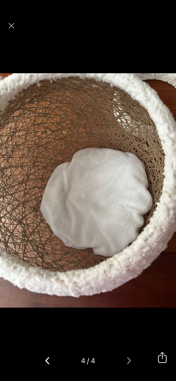 Kedi yatağı - Görsel 3