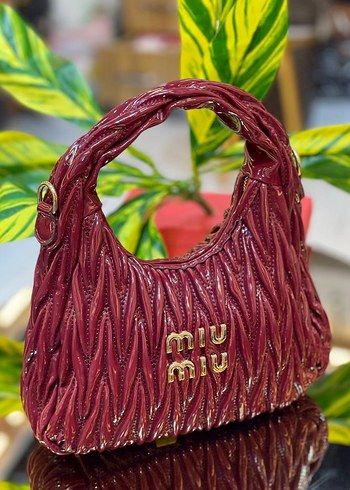 Miu Miu Medium Size 30 17